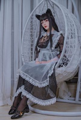 转生剑姬