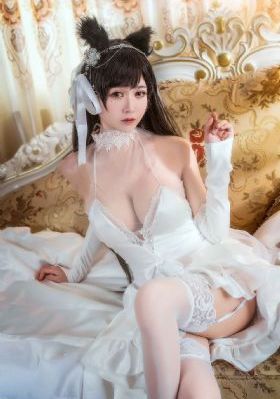宫之羽电视剧全集免费